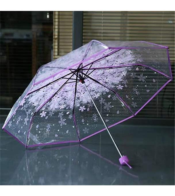 Transparent Umbrella – Stay Dry in Style!